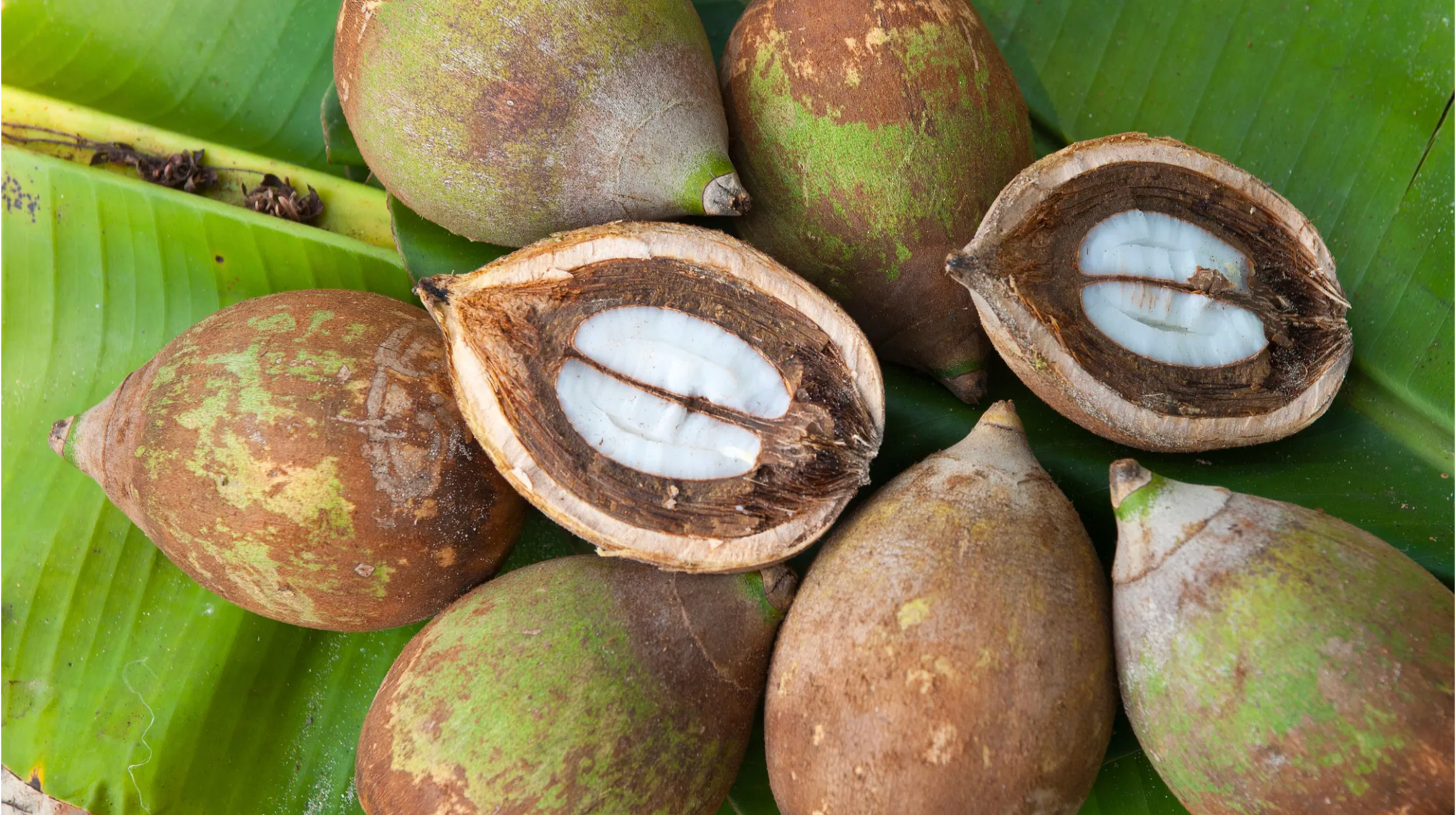 Babassu Oil