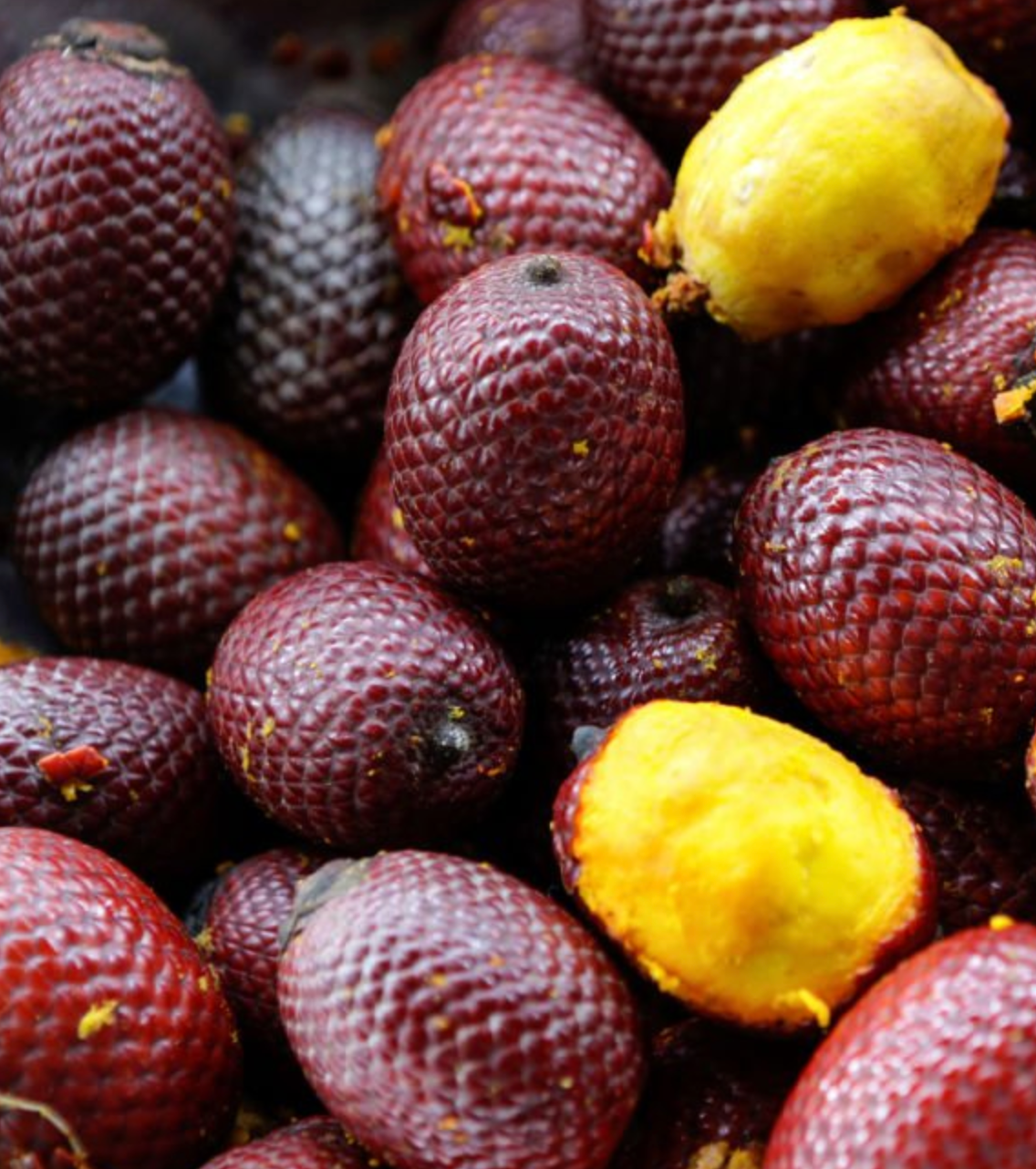 Buriti Oil