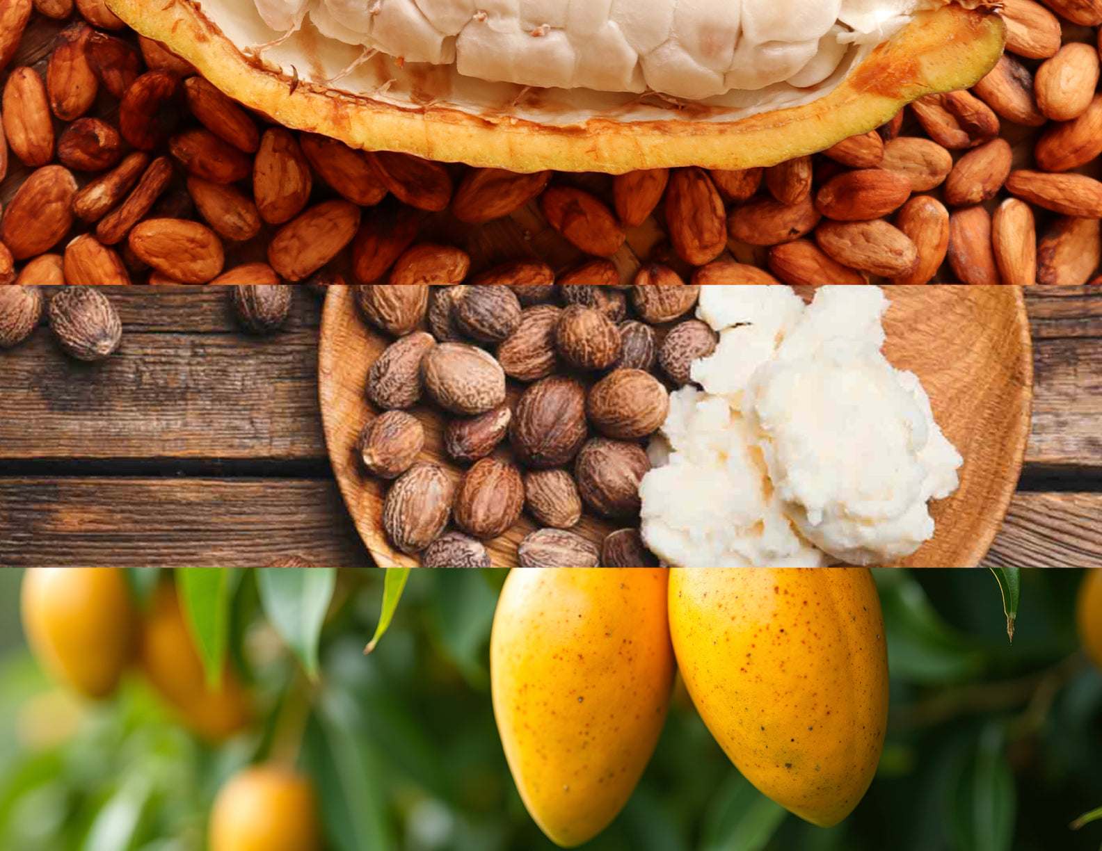 Nourishing Plant Butter Blend