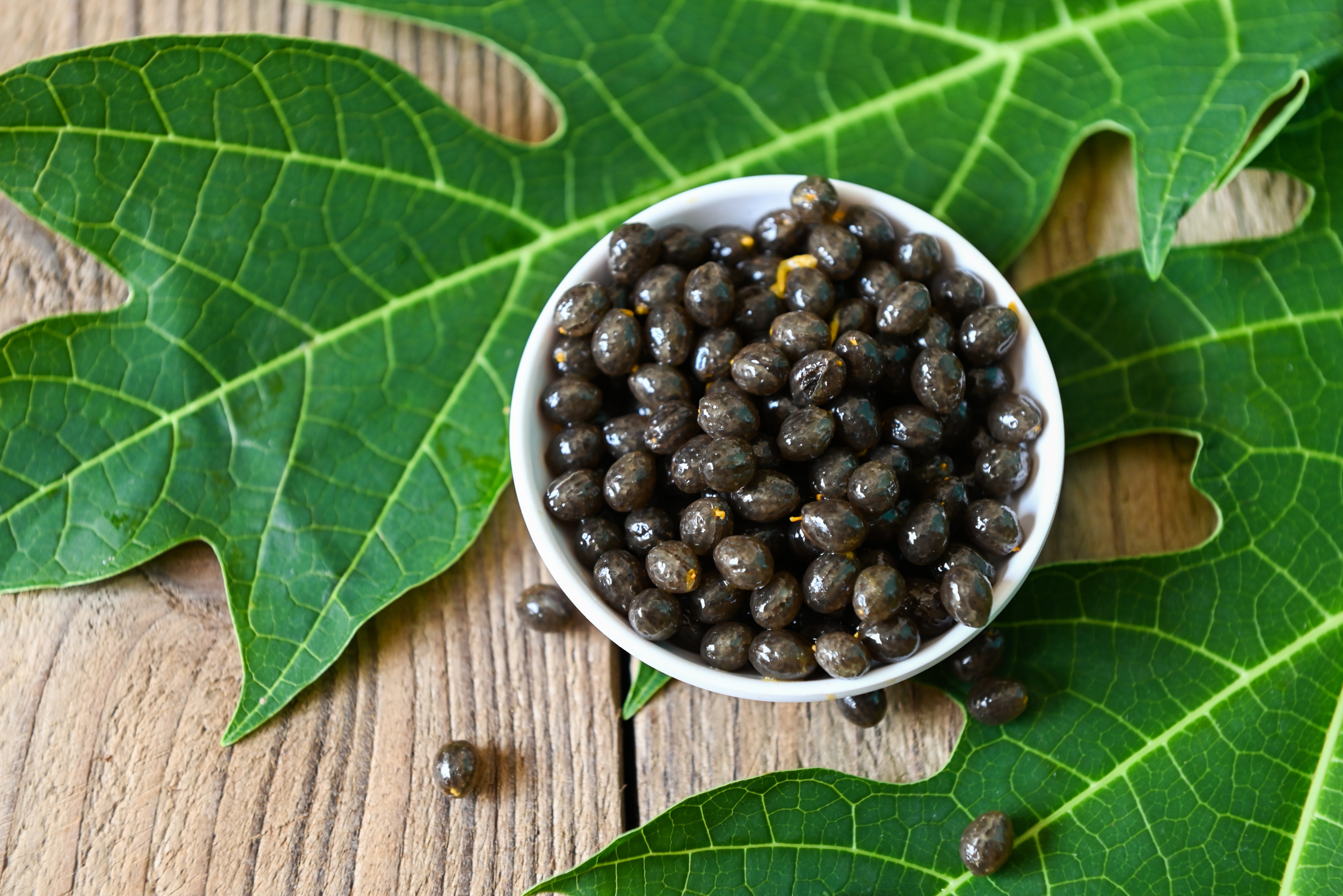 Papaya Seed Extract