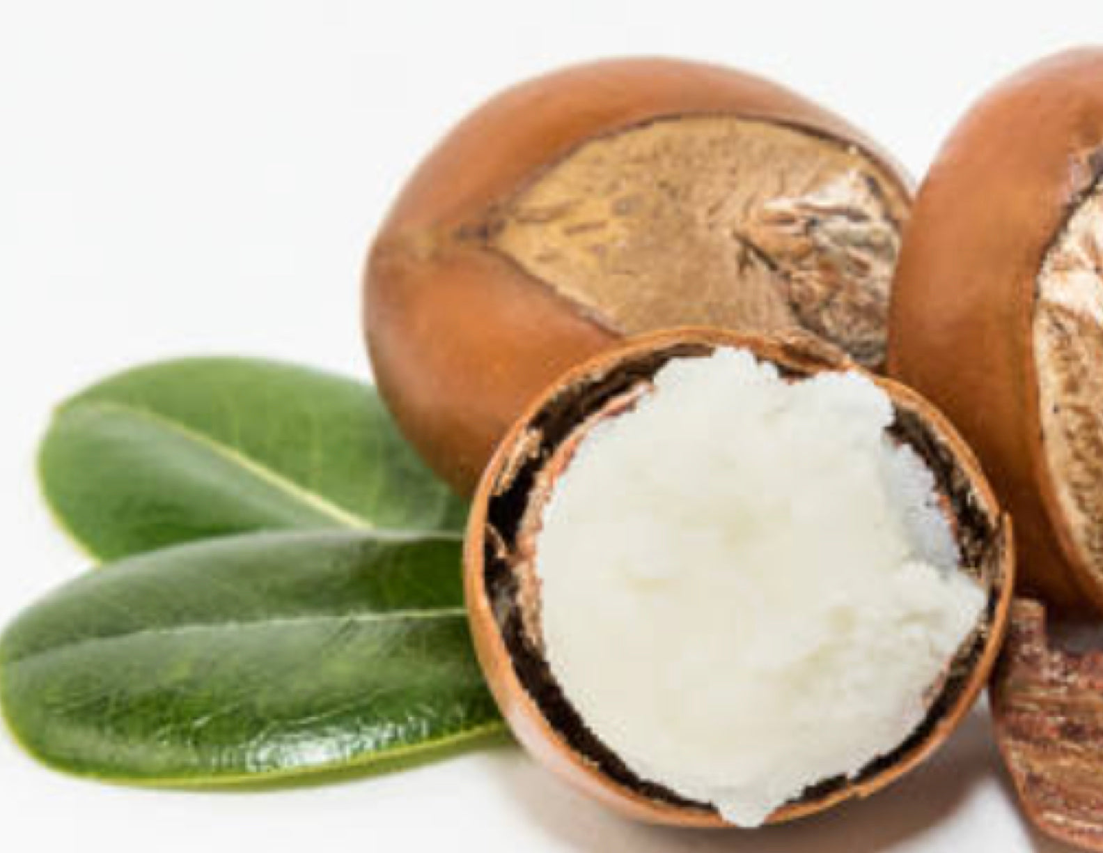 Shea Butter