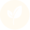 Non-GMO