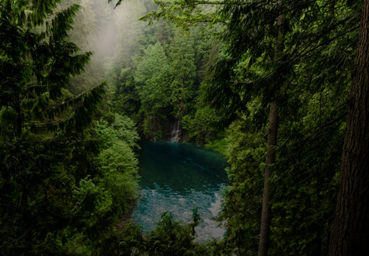 Eco-conscious Products For Your Health And The Planet